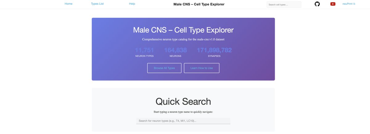 The landing page of the Cell Type Explorer, the web resource we built, showing its counts of 11,751 neuron types, 164,838 neurons and 171,898,782 synapses above a quick-search box.